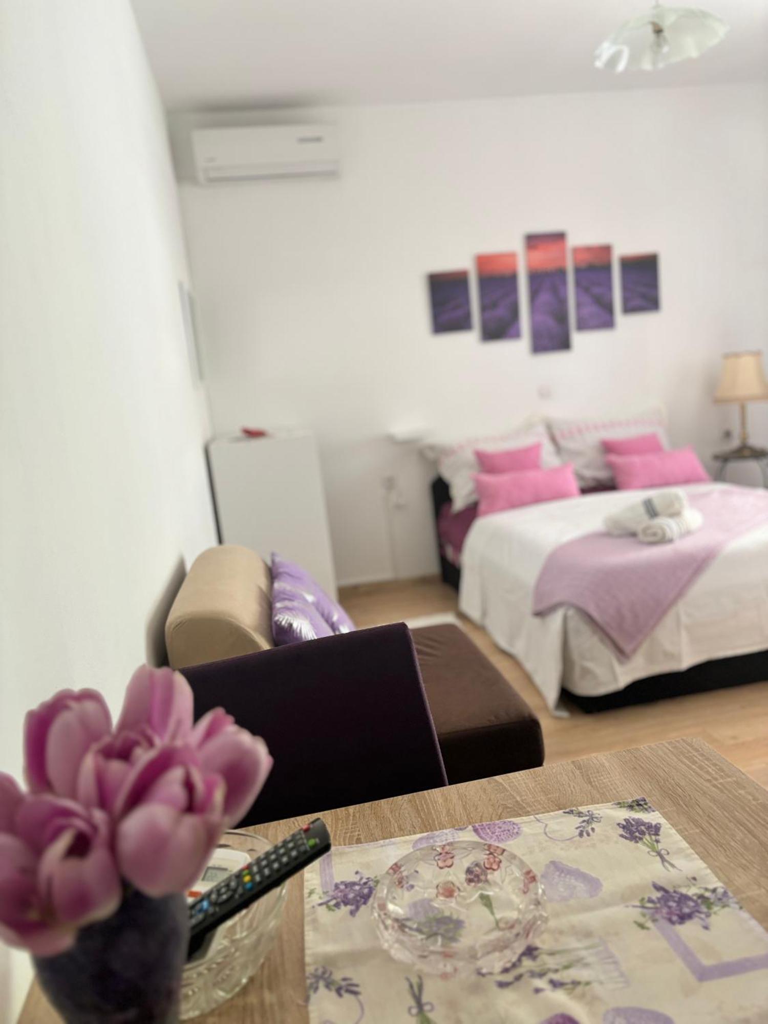 Apartments Ivana ביבינייה מראה חיצוני תמונה