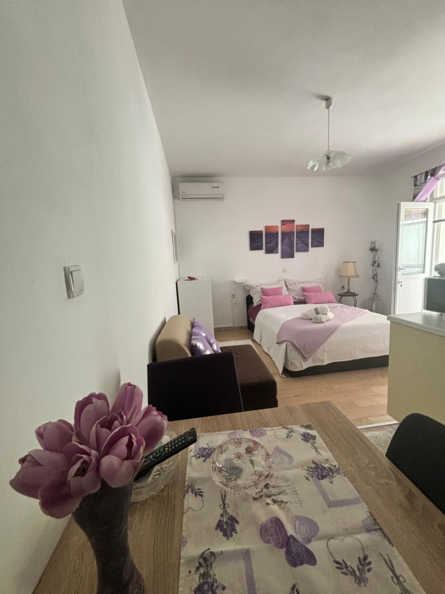 Apartments Ivana ביבינייה מראה חיצוני תמונה